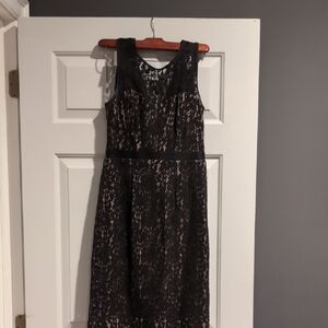 BCBGMaxAzria Elegant Black and Cream Lace Midi Dress